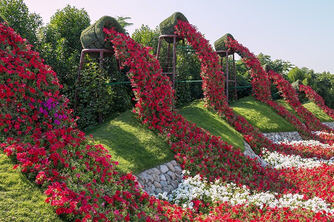 Dubai Miracle Garden Self-Guided Tour with Ticket with Transfer - Price and Value: Is $80 a Good Deal?