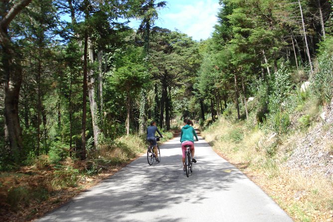 E-Bike Self-Guided Sintra - Cascais (Private Tour from Lisbon) - Centro Histórico de Sintra: quick orientation, palace choice