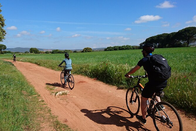 e-Bike (Self-Guided) & Winery tour - 20km Easy - The winery stop at Bodega Joaquin Fernandez: tasting with a point of view