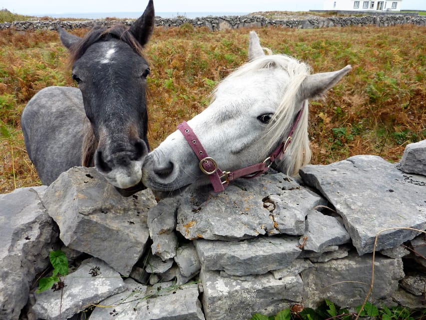 Ebiking on Inishmore island. Aran islands. Self-guided - Wind, Irish music, and making time for the island’s rhythm