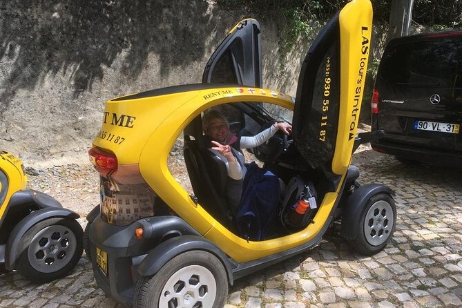 ECAR GPS/Audio guide EN ES FR IT DE DU - Electric car comfort, safety, and the value of avoiding chaos