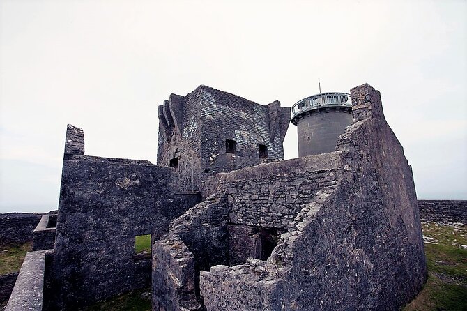 Electric biking on Inishmore island. Aran island. Self-guided. Full day. - The seal colony and wildlife time: when to plan for a slower moment