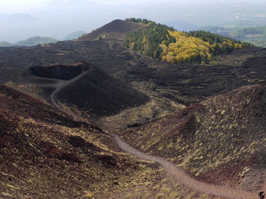 Etna by Panoramic Bus, Audioguide 9 languages, from Catania - Who this Etna bus trip fits best