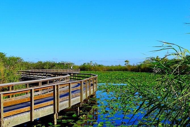 Everglades National Park: Self Guided Driving Audio Tour - How the App Guides You Offline, Hands-Free