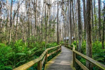 Everglades National Park: Self Guided Driving Audio Tour - Getting Oriented: Start in Florida City and End at Flamingo
