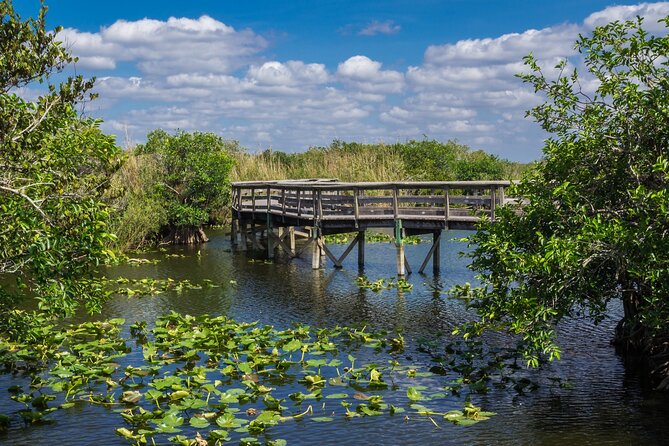 Everglades National Park: Self Guided Driving Audio Tour - Mahogany Hammock and Everglades Outpost: Trees, Then Rescue Stories