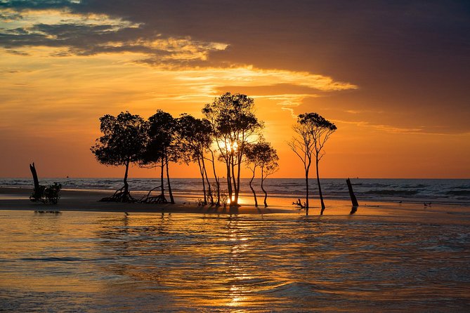 Explore Delightful Darwin: Self-Guided Audio Tour - Key highlights before you press play