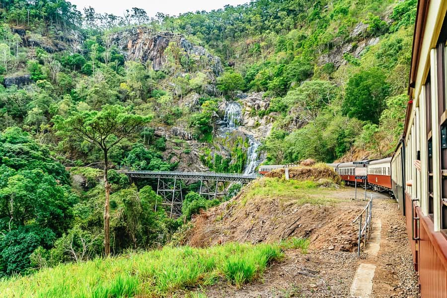 From Cairns: Self-Guided Kuranda Trip with Train and Skyrail - Skyrail Rainforest Cableway: meters above the canopy, with stops that pay off