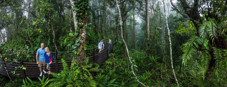 From Cairns: Self-Guided Kuranda Trip with Train and Skyrail - Kuranda village free time: markets, walks, and where to spend your hours
