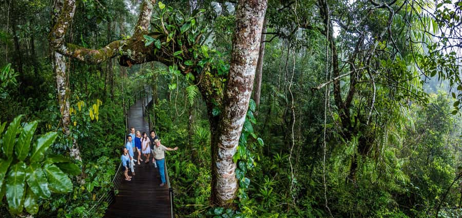 From Cairns: Self-Guided Kuranda Trip with Train and Skyrail - Who this day trip suits best (and who should rethink it)