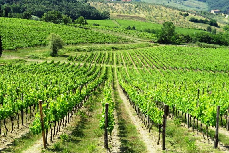 From Florence: Chianti Self-Guided Vespa Tour with Lunch - The App-Guided Route Through Chianti Hills