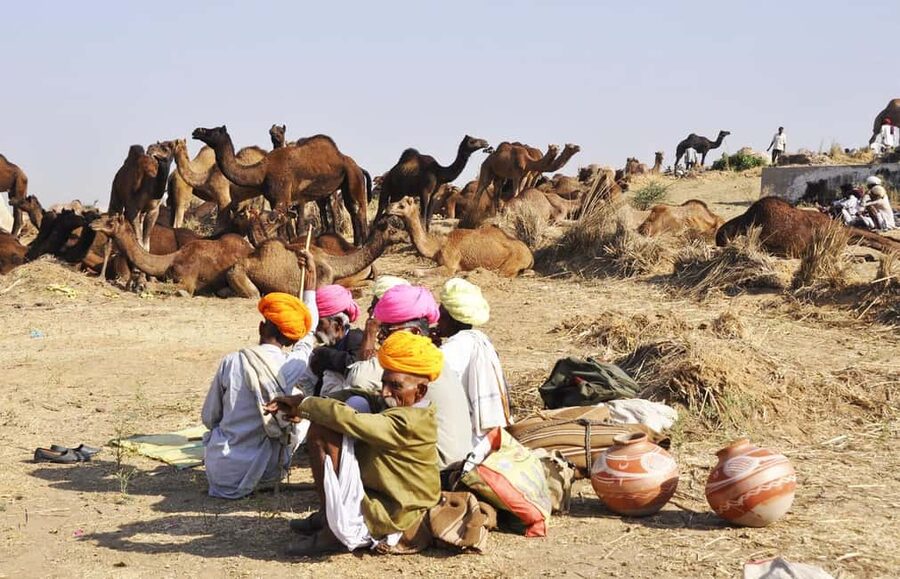 From Jaipur: Same Day Pushkar Self-Guided Day Trip - Comfort, rules, and what you should pack