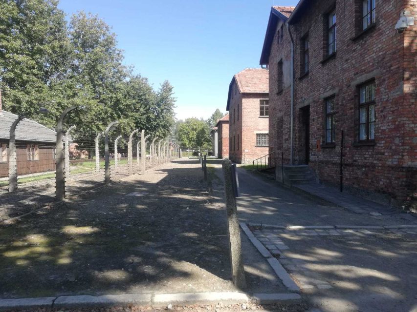 From Krakow: Auschwitz-Birkenau and Self-Guided Day Tour - Auschwitz II-Birkenau (Self-Guided, About 40 Minutes): Seeing Scale, Feeling Rushed