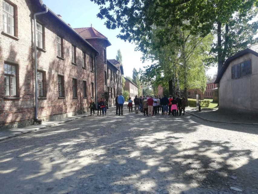 From Krakow: Auschwitz-Birkenau and Self-Guided Day Tour - Who This Tour Is Best For