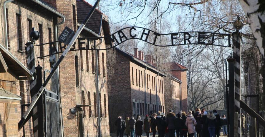 From Krakow: Auschwitz-Birkenau and Self-Guided Day Tour - Ticket Pickup and Entry Help Without a Full Live Guide
