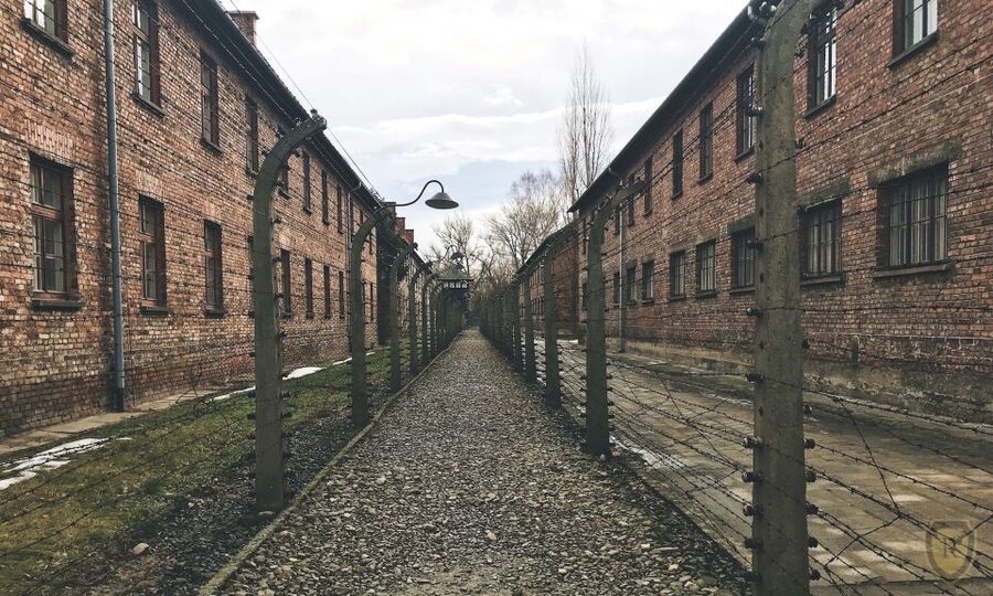From Krakow: Auschwitz Birkenau Self-Guided Tour - Key Things to Know Before You Go