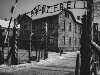 From Krakow: Auschwitz Birkenau Self-Guided Tour - Getting From Krakow: Pickup, Shared Bus Time, and Your On-the-Ground Helper
