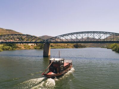 From Pinhão: Douro Valley Rabelo Boat Tour with Audio Guide - Rabelo boat basics: traditional, covered, and easy on your feet