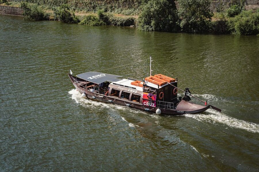 From Pinhão: Douro Valley Rabelo Boat Tour with Audio Guide - What you’re really seeing: terraced vineyards and quíntas