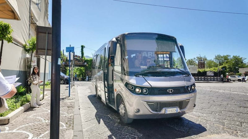 From Pompeii: Mount Vesuvius with bus, ticket and audioguide - Key things I’d plan around