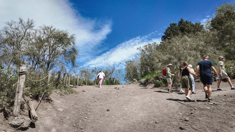 From Pompeii: Mount Vesuvius with bus, ticket and audioguide - What you’ll do during your 110-minute Vesuvius visit