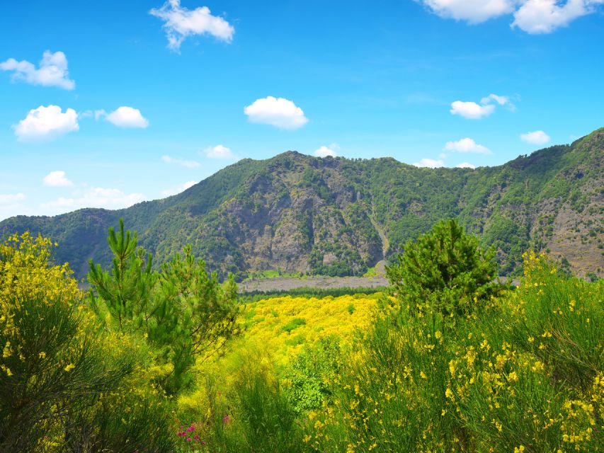 From Salerno: Vesuvius & Pompeii with audioguide - Transfer to Pompeii: A Short Travel Break Before Ancient Streets