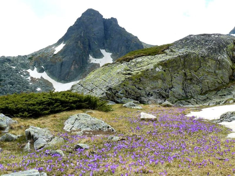 From Sofia: The Seven Rila Lakes Full-Day Self-Guided Tour - Seven Rila Lakes from Sofia: why this hike is worth planning