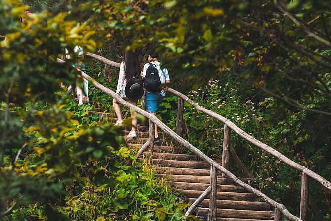 From Split: Self-Guided Plitvice Lakes Day Tour with Boat Ride - Getting value from $60.49: what’s included and what to confirm