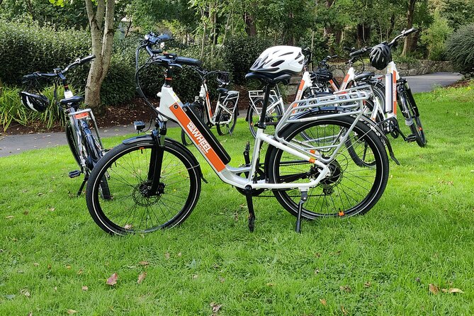 Galway by eBike: Must-Do Independent Half-Day Activity! - Price and value: is $72.25 a good deal for this 3-hour loop?