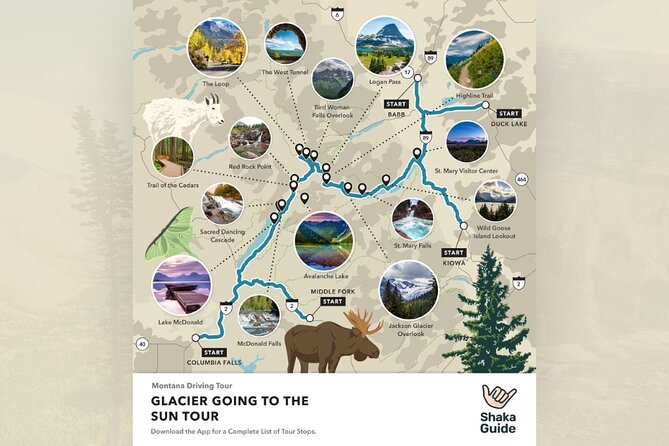 Glacier National Park Going-to-the-Sun Road Self-Guided Tour - Logan Pass and Oberlin Bend: High Altitude, Big Attention