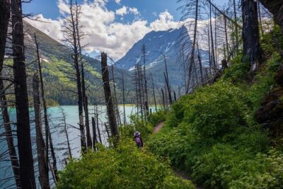 Glacier National Park Self-Guided Driving Audio Tour - Your hands-free setup: phones, car stereo, and offline downloads