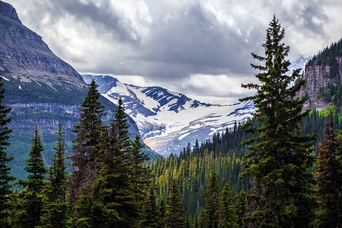 Glacier National Park Self-Guided Driving Audio Tour - Logistics that matter: reservations, timing, and weather days