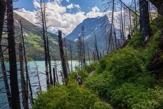 Glacier National Park Self-Guided Driving Audio Tour - Your hands-free setup: phones, car stereo, and offline downloads