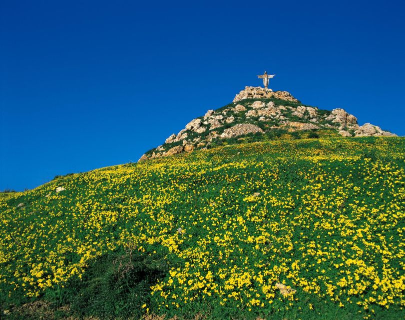 Gozo Day Pass Ferry and Hop-on Hop-off buses with audio Tour - Price and Logistics: What Your $59 Ticket Really Controls