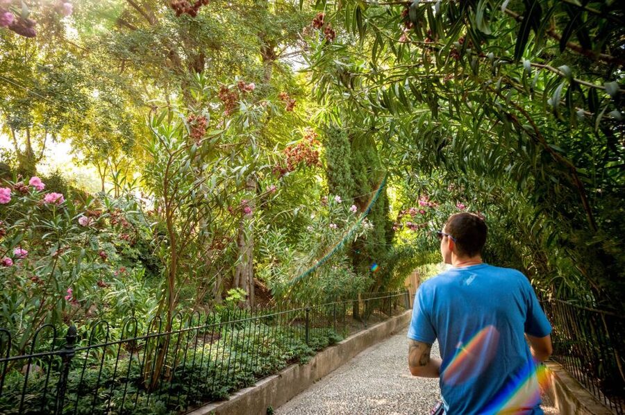 Granada: Alhambra Entry Ticket with Audio Guide - How to Use Your Alhambra Time: A Simple, Stress-Free Flow