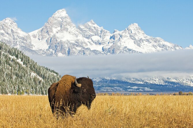 Grand Teton Self-Guided Driving Audio Tour - Teton Village and the Rockefeller Preserve: where the stories start