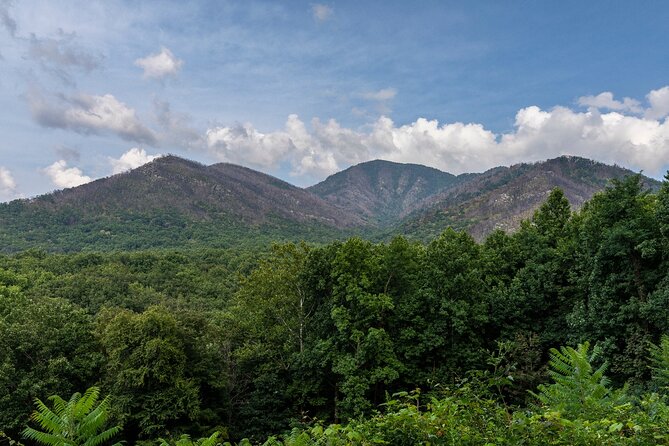 Great Smoky Mountains & Cades Cove Self-Guided Driving Tours - Starting at Oconaluftee Visitor Center: the “comfort of your own car” route