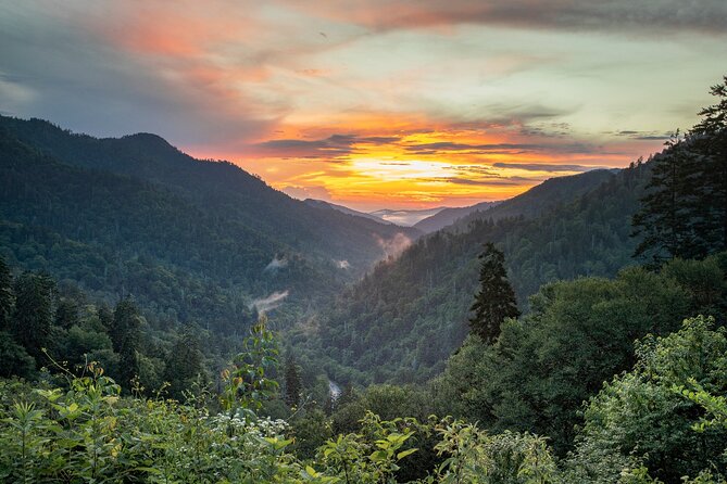 Great Smoky Mountains & Cades Cove Self-Guided Driving Tours - Mingus Mill detour and Beech Flats Quiet Walkway: a gentle start