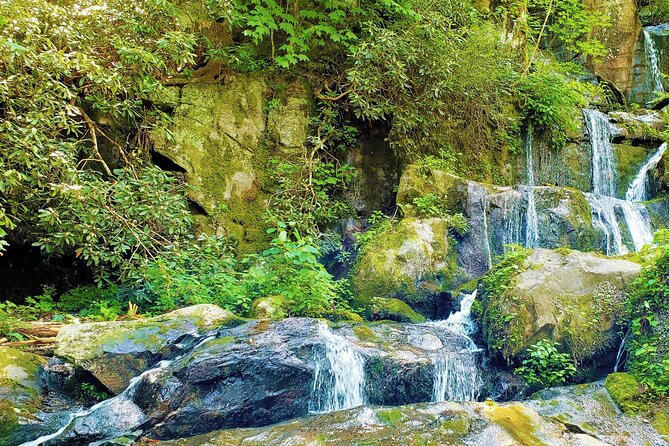 Great Smoky Mountains & Cades Cove Self-Guided Driving Tours - Rockefeller Memorial and Newfound Gap: the Smokies aren’t just nature