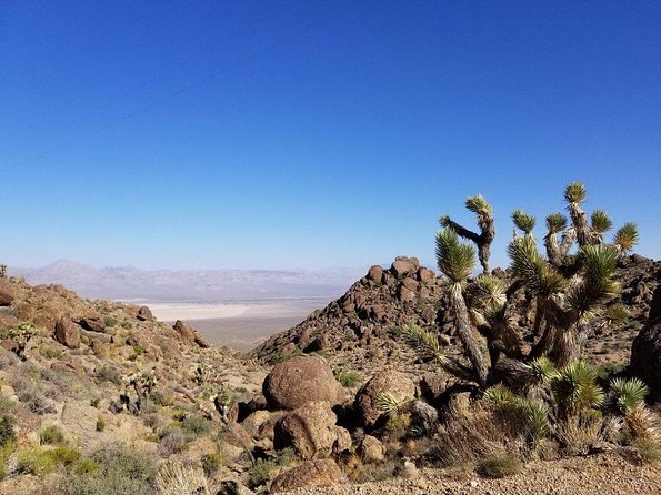 Guided or Self-Guided Road Bike Tour of Red Rock Canyon - Guided vs self-guided: pick your comfort level, not your ego
