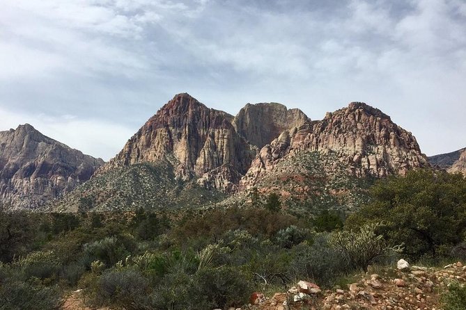 Guided or Self-Guided Road Bike Tour of Red Rock Canyon - Timing and pace: how to plan your day around a 4-hour ride
