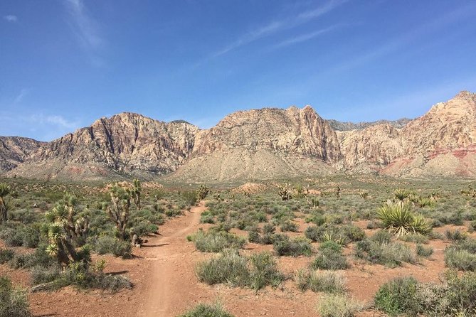 Guided or Self-Guided Road Bike Tour of Red Rock Canyon - Safety on descents and mixed roads: ride like it’s your job