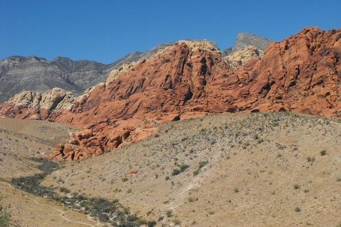 Guided or Self-Guided Road Bike Tour of Red Rock Canyon - Who this tour is best for (and who should think twice)