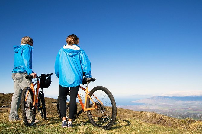 Haleakala Summit Best Self-Guided Bike Tour with Bike Maui - Price and value: why $238.59 can make sense