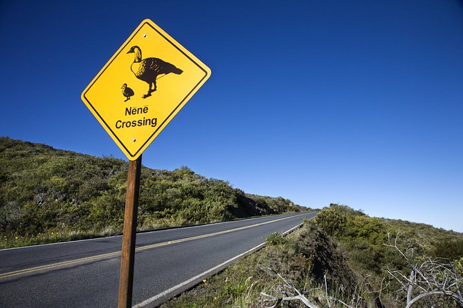 Haleakala Sunset and Stargazing Audio Tour - Makawao: Upcountry Culture Between the Coast and the Summit