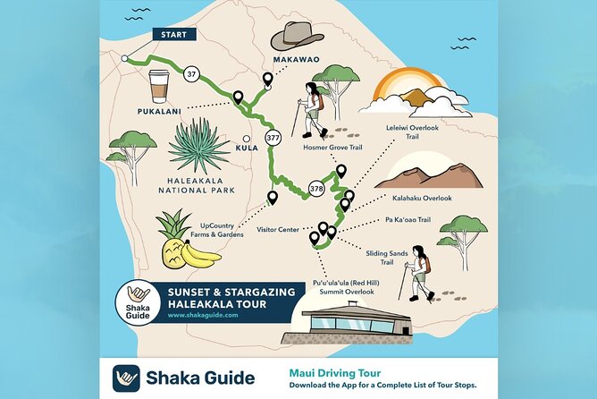 Haleakala Sunset and Stargazing Audio Tour - Hosmer’s Grove: The 30-Minute World-Tree Reset