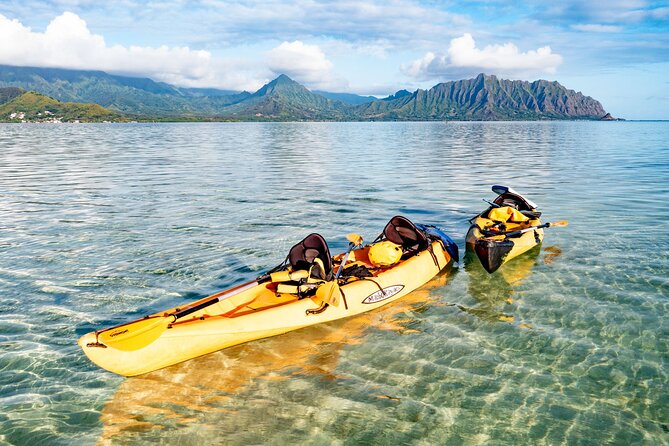 Half-Day Kaneohe Bay Sandbar Self-Guided Kayaking Experience - Start point in Kailua: what to know before you show up