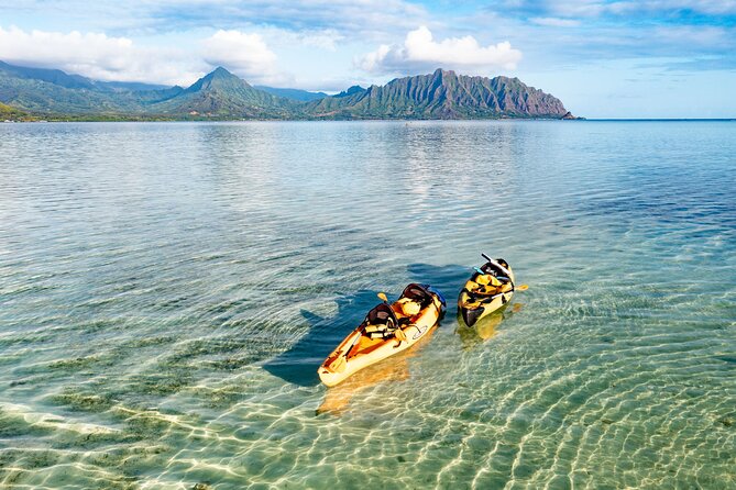 Half-Day Kaneohe Bay Sandbar Self-Guided Kayaking Experience - Water conditions, wind, and how to avoid a rough-feeling paddle