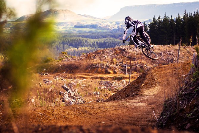 Half-Day Self-Guided Mountain Bike Journey through Whakarewarewa Redwood Forest - Key Highlights You’ll Actually Feel On the Ride