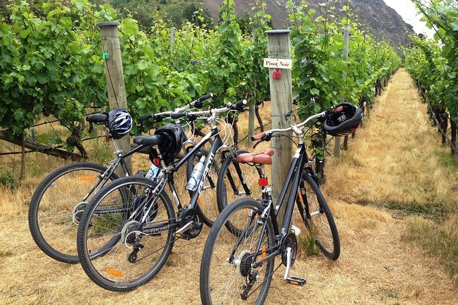 Half-Day Self-Guided Ride and Wine Bike Tour from Arrowtown - Key highlights I’d circle first